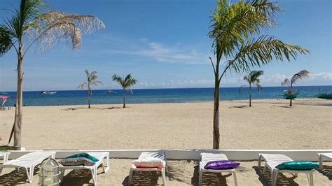 laiya white cove|sun cove resort for sale.